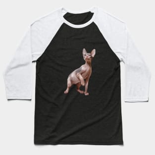 Drawing Sphynx kitten Baseball T-Shirt